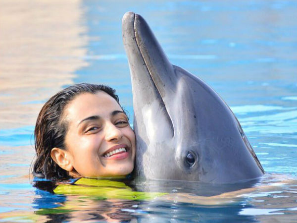 விளையாட்டு 