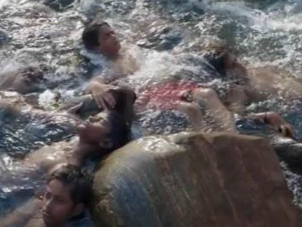 பிடிவாதம்: 