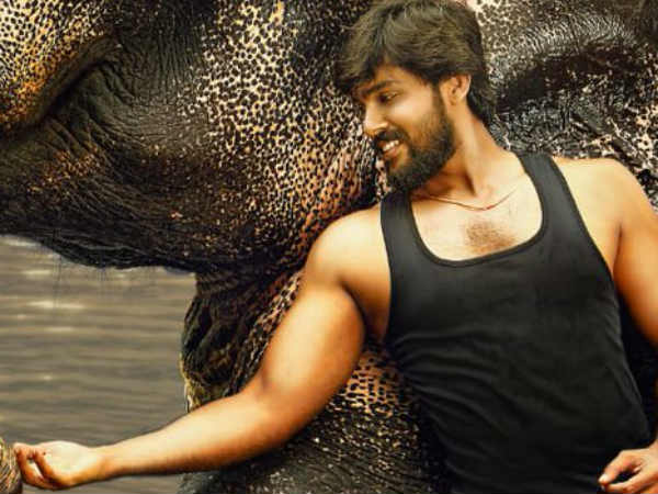 ராஜபீமா: 