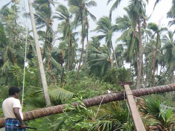 மக்கள் அதிருப்தி: 