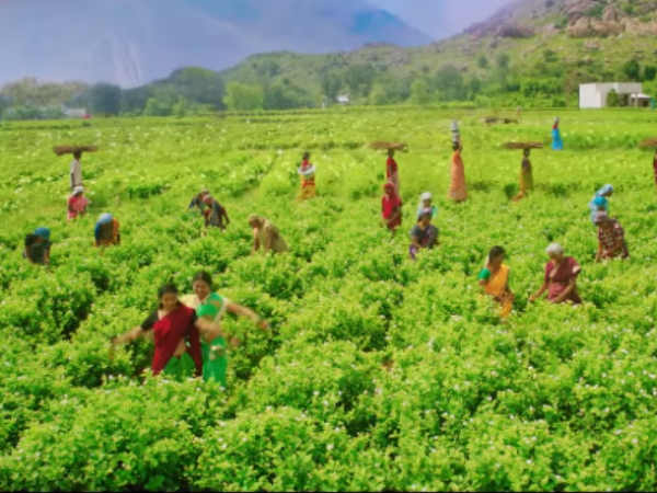 Agavan review: A thriller movie with some interesting twists Agavan review: A thriller movie with some interesting twists