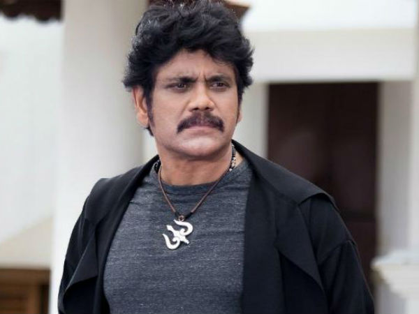 நாய் நாய்