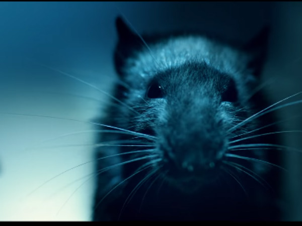 Monster: A perfect vacation movie for kids 