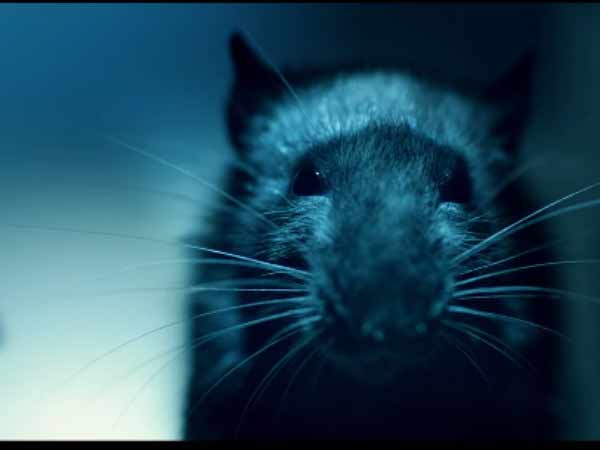 எழுத்தாளர்: 