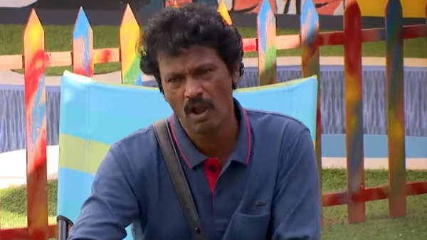 நாய் போல சண்டை 