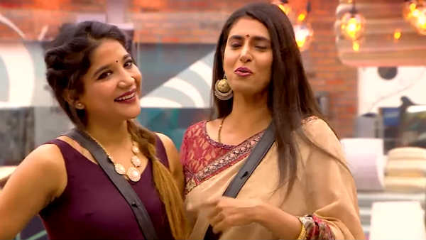 வைல்ட் கார்ட்: 