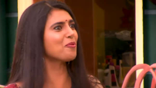 ஈக்கள் தொல்லை ஈக்கள் தொல்லை