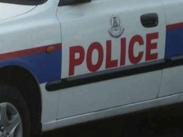 திடுக் தகவல்கள் 