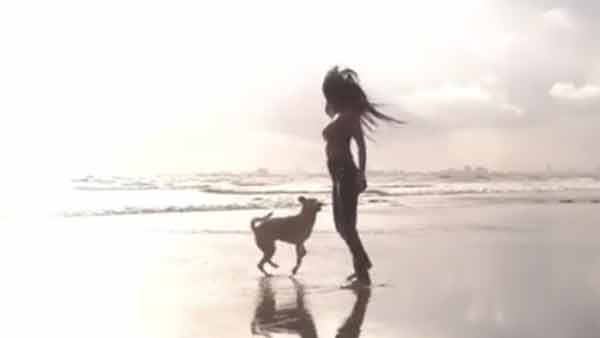 ட்ரான்ஸ்பிரன்ட் பிரா 