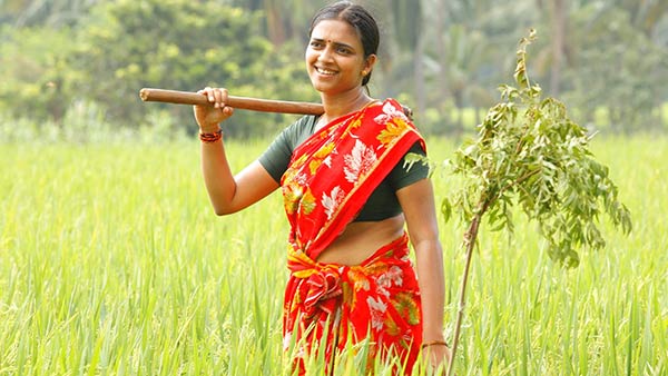 ஏர் கலப்பை திருவிழா