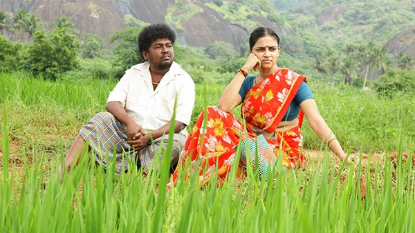 சரியான கதை