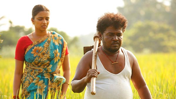 விவசாயிகளின் பெருமை