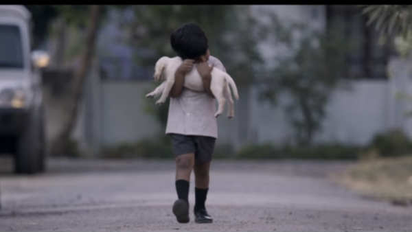 Bow Bow is an emotional bond between a 5 year old boy with dog