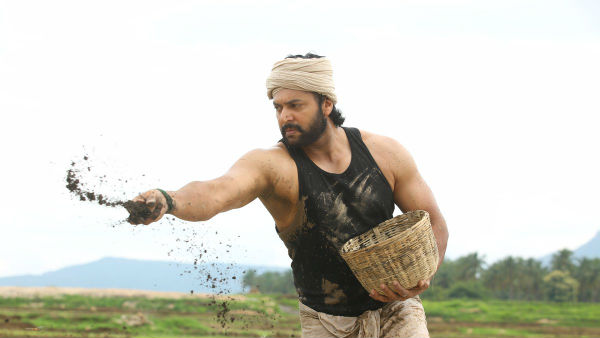 என்ன ரோல்?