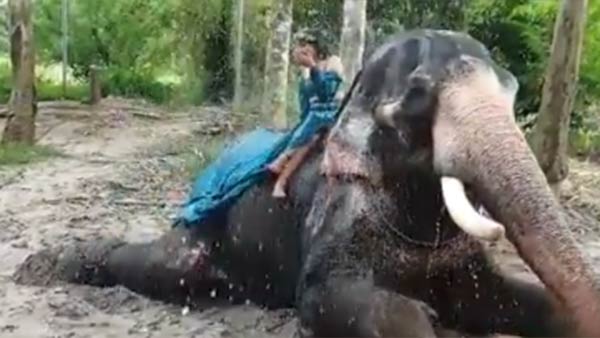 ஒய்யார போஸ் 