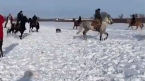 பனிப்பொழிவில் 