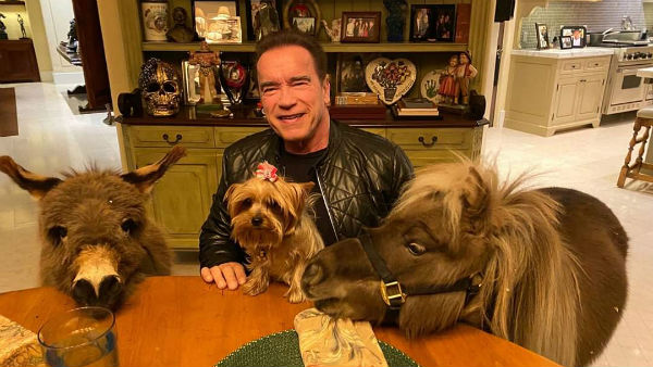  Animal lover Arnold