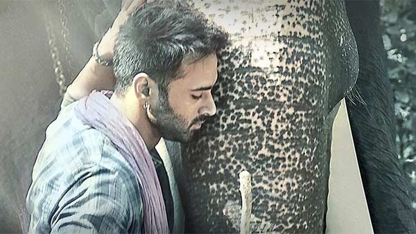 தமிழ், தெலுங்கு 