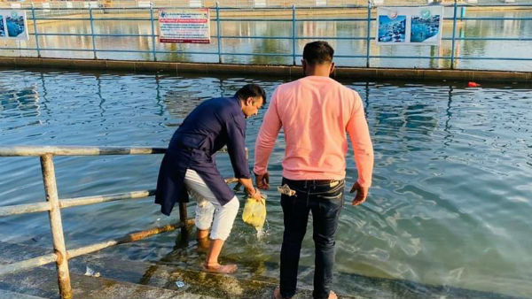 திடீர் விசிட் 