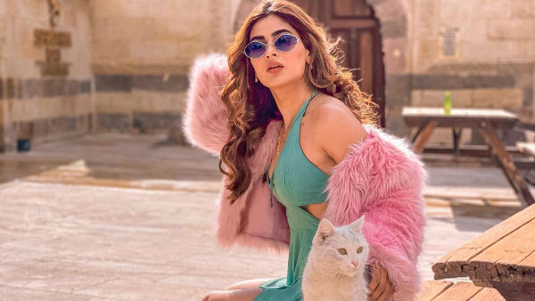 கிளாமர் புகைப்படங்கள் 