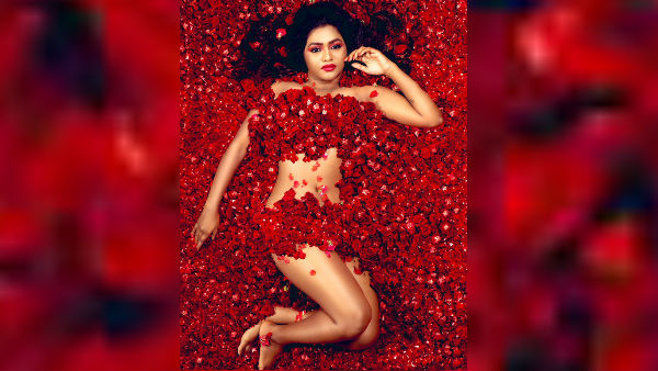 பெரும் விமர்சனம் 