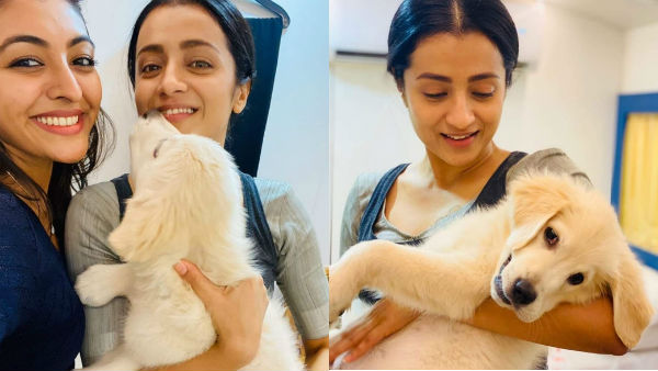In shooting spot trisha playing with a pet 