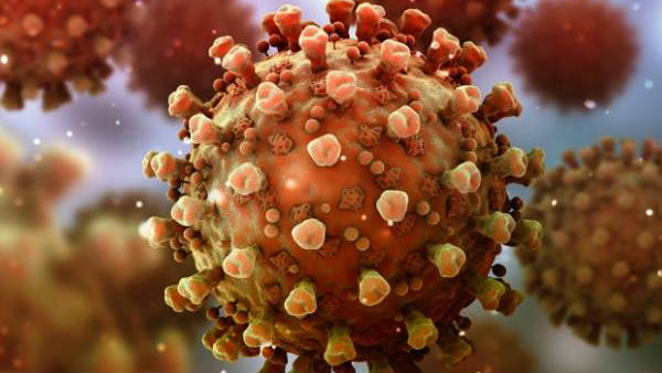 தீவிர நடவடிக்கை 