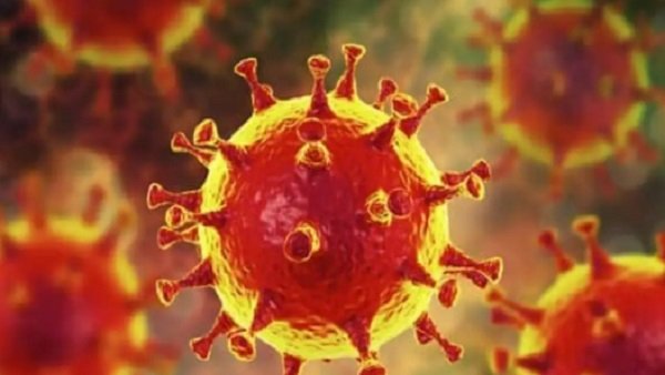 விடுமுறை 