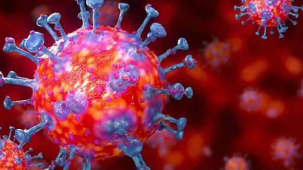 உலக நாடுகள் 