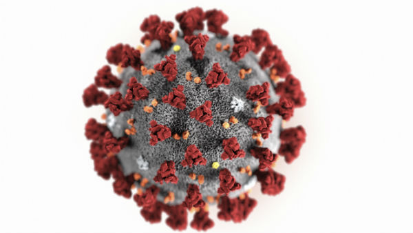 கொரோனா வைரஸ் 