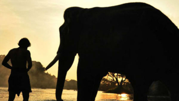 தமிழ், தெலுங்கு 