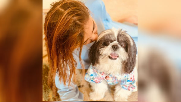 நாய்க்குட்டி