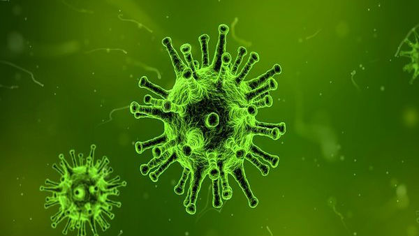 கொரோனா வைரஸ் கொரோனா வைரஸ்