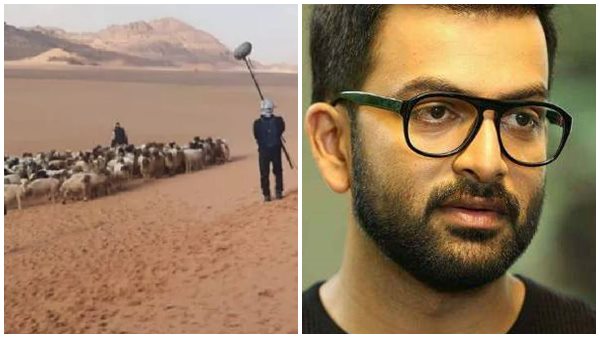 வாடி ரம் பாலைவனம் 