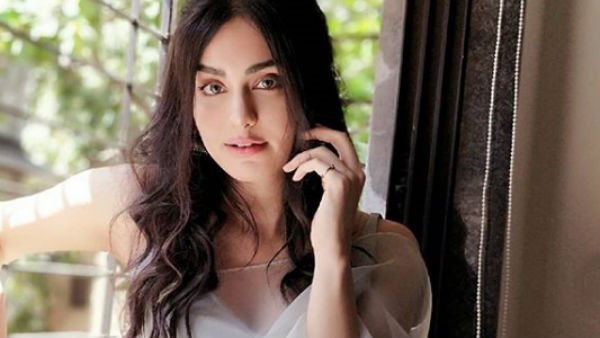 வீடியோ, போட்டோ 