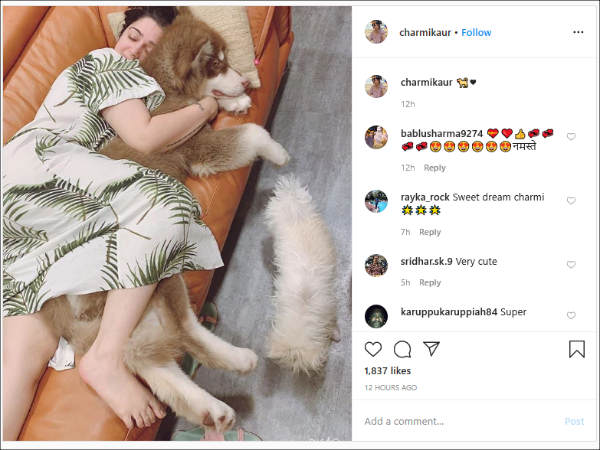 கொரோனா வைரஸ் 