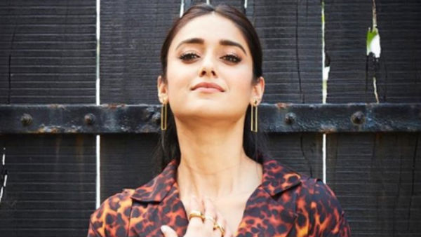 தி பிக் புல்