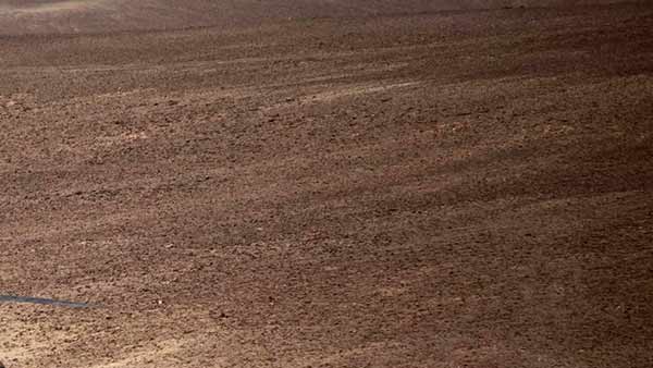 பாலைவனம் 