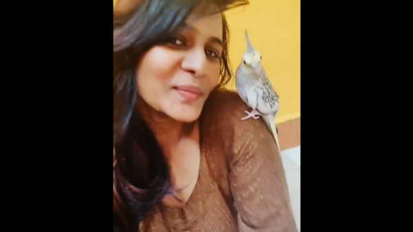 இருந்ததும் போச்சு 