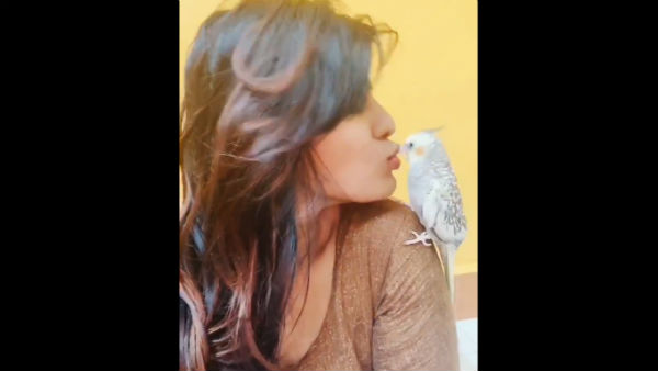 அட்டை படங்கள் 