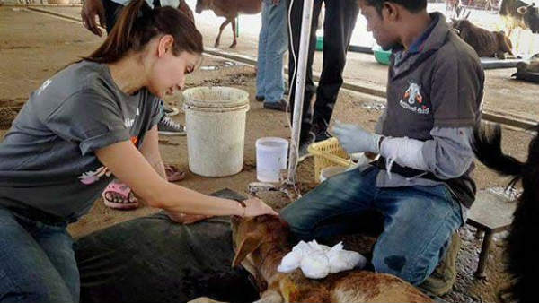 மனச்சோர்வு