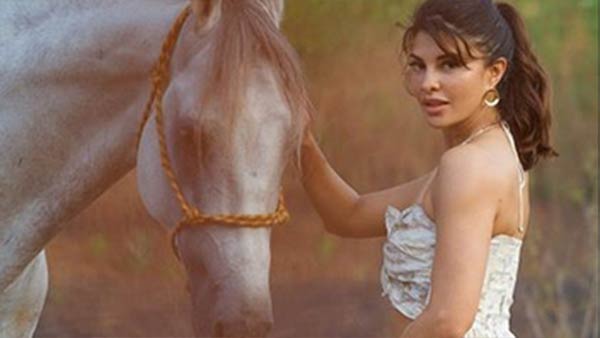 வீடியோ, போட்டோ வீடியோ, போட்டோ