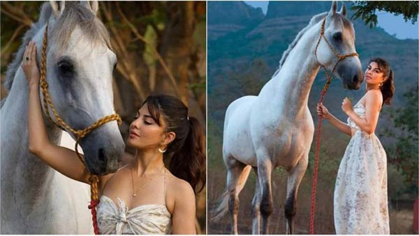 குதிரையுடன் போஸ் குதிரையுடன் போஸ்