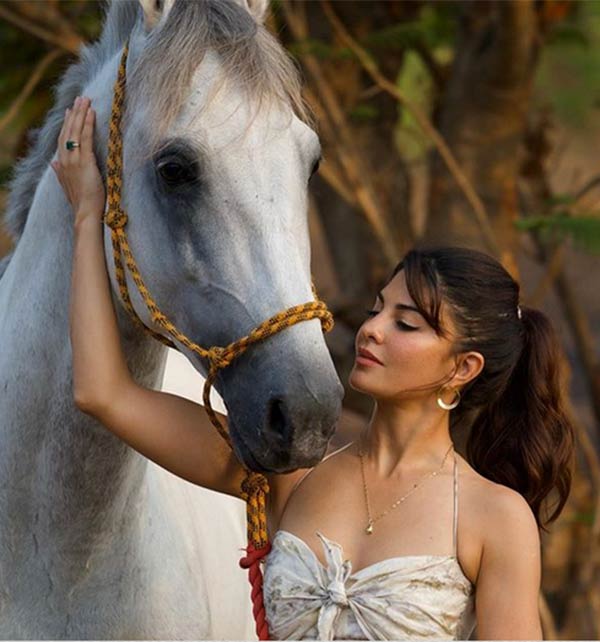 டிஜிட்டல் எடிஷன் டிஜிட்டல் எடிஷன்