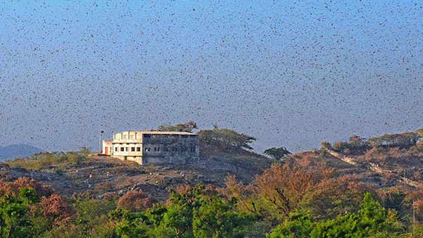 2020ஆ இல்ல 2012ஆ?