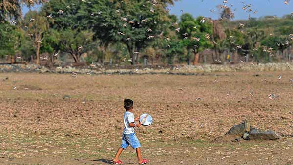 இலுமினாட்டி சதி