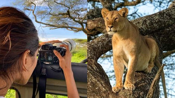 போட்டோகிராஃபி