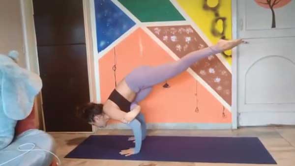 பறவையை போல