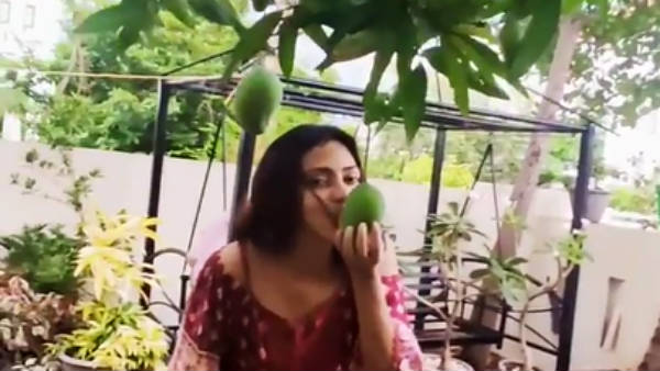 மாங்காய்க்கு முத்தம்