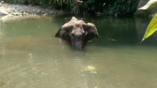 கர்மா நிச்சயம் தண்டிக்கும்